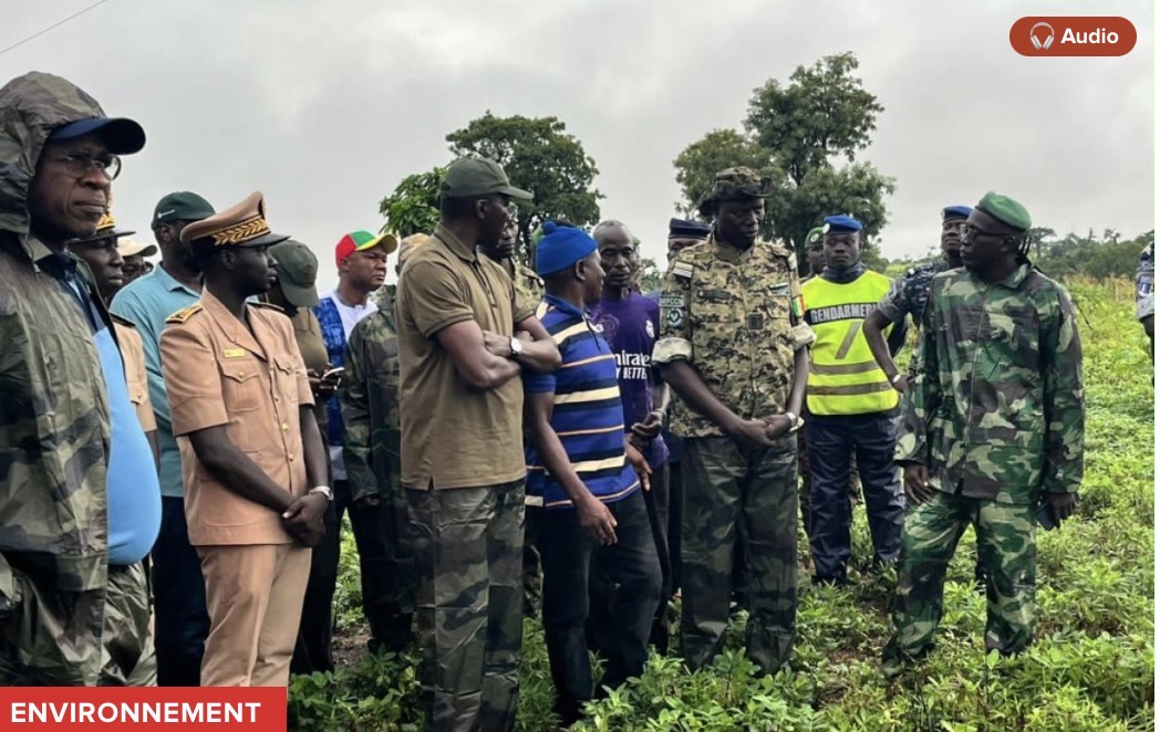 Kédougou : le ministre de l’Environnement plaide pour la multiplication des initiatives de reboisement face aux effets de l’orpaillage