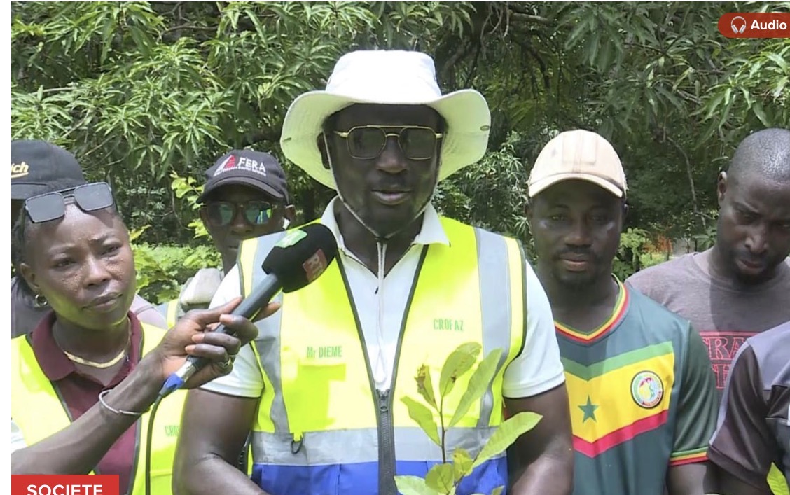 Enampore : les jeunes de Kamobeul misent sur l’anacarde comme moteur d’avenir