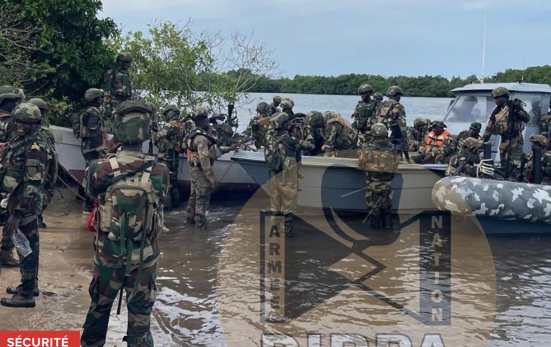 Karones : Une opération interarmées permet de découvrir plusieurs champs de chanvre indien