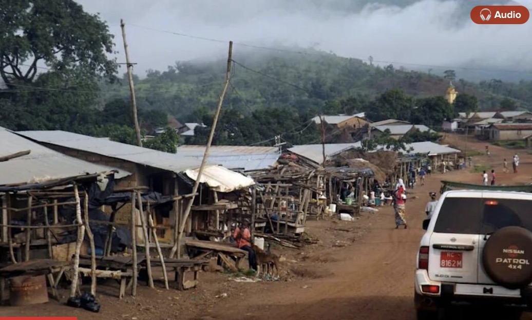 Guinée: enlèvement de la mère d'un opposant, selon sa famille