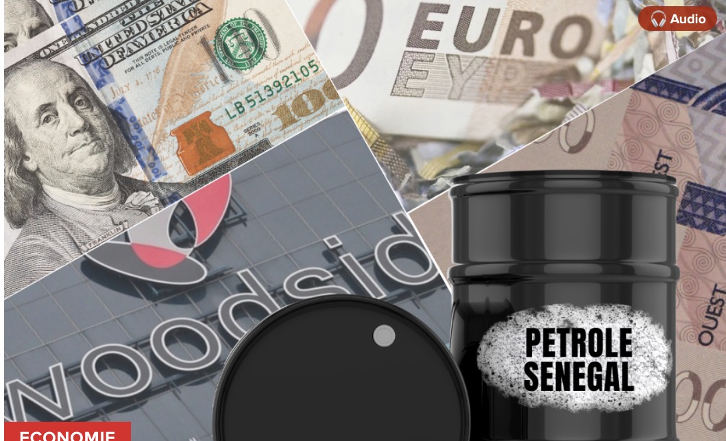 Pétrole sénégalais : 1,9 milliard de dollars pour Woodside et un déclin qui tire la production vers le bas (T3)