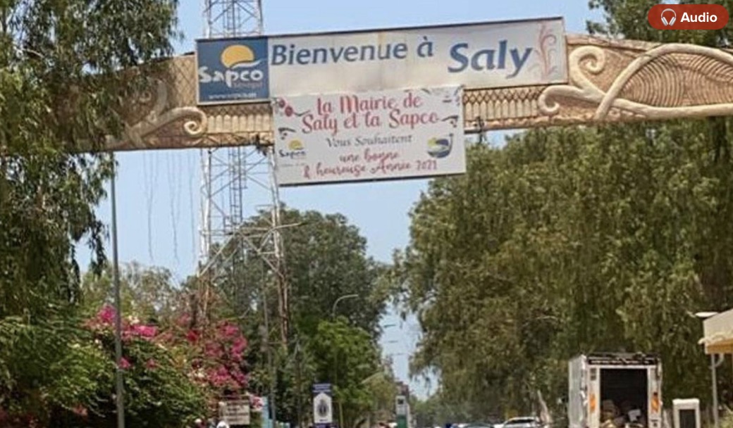 Saly, Ngaparou et La Somone : Les animaux errants mis en fourrière à partir du 31 octobre