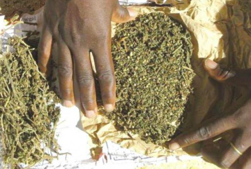 Drogue: Une valeur de 18 milliards saisis en 16 mois