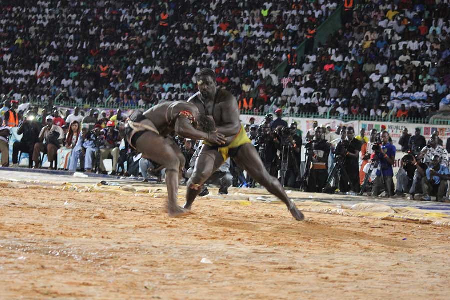 En images le combat qui a envoyé le 3eme tigres de Fasse Gris Bordeaux a 4 appuis par Kharagne Lo. Regardez