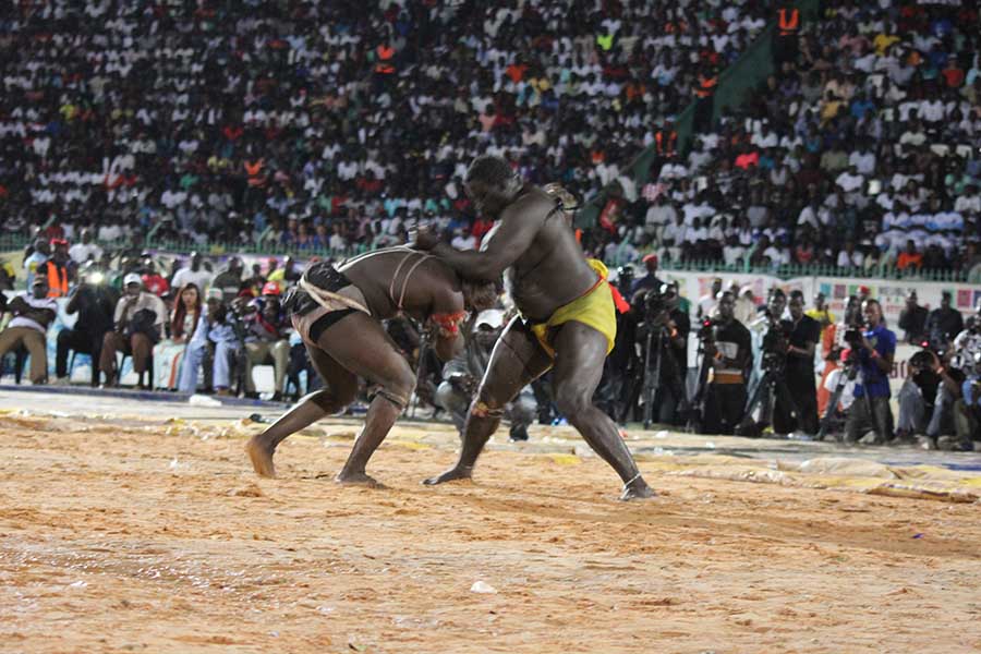 En images le combat qui a envoyé le 3eme tigres de Fasse Gris Bordeaux a 4 appuis par Kharagne Lo. Regardez