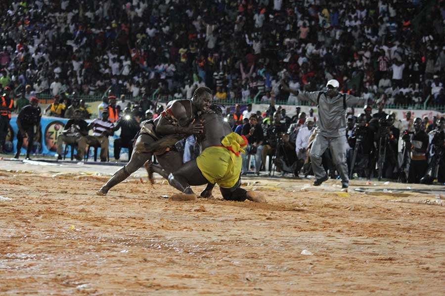 En images le combat qui a envoyé le 3eme tigres de Fasse Gris Bordeaux a 4 appuis par Kharagne Lo. Regardez