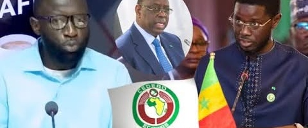 Rumeur sur la CEDEAO : Ngom NFFA dément la nomination de Diomaye et attaque les partisans de Pastef