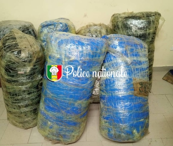 Importante saisie à Fadial : 245 kg de chanvre indien interceptés par l’OCRTIS