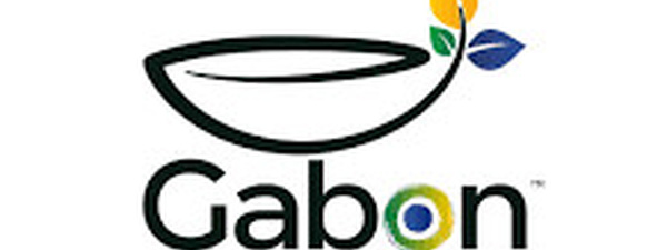 Semaine du Gabon Expo 2025 Osaka I Rencontre avec le Ministère du Tourisme – Préparatifs Expo 2025 Osaka