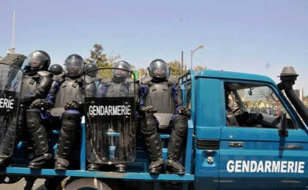 Nioro : 4 dealers arrêtés avec 3 kg de chanvre indien
