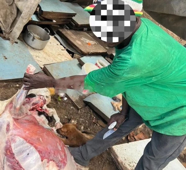 Diamaguène Sicap Mbao : un homme arrêté pour maltraitance animale et vente de viande avariée