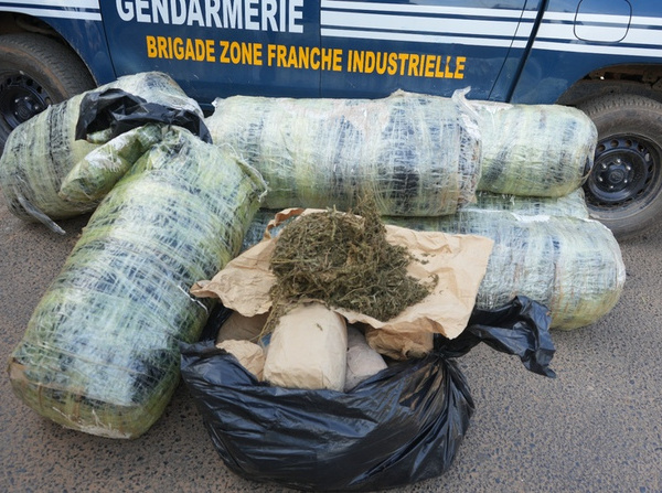 Trafic de drogue : deux individus arrêtés et une importante cargaison interceptée au large de Keur Massar