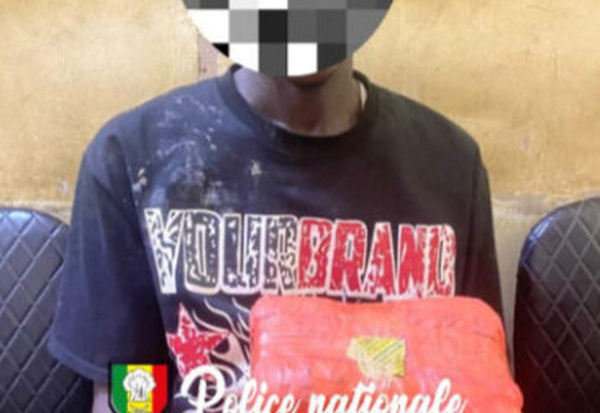 Kaolack : arrestation d’un trafiquant avec 4 kg de chanvre indien