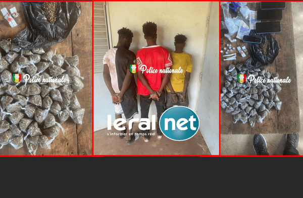 Kédougou : la Brigade des Stupéfiants interpelle trois individus en possession de chanvre indien et de Tramadol