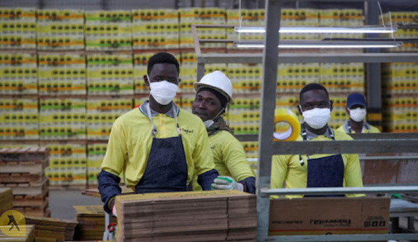 Secteur moderne : Avec 387,9 milliards FCfa, la masse salariale en hausse de 1,0% au 2e trimestre 2025