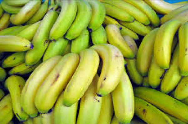 Mesure de promotion des bananes locales : Le gel des importations vire au cauchemar économique