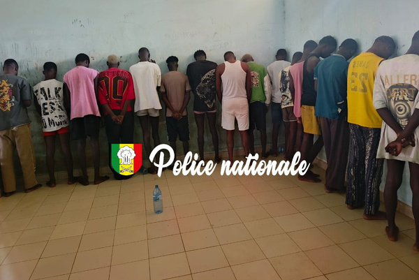 Actes contre nature, détention et usage de drogue : Arrestations de 17 personnes, dont une femme