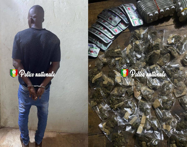 Kédougou – Trafic de drogues : La BRS saisit du Tramadol et du Kush à Kharakhena