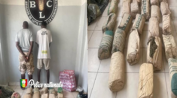 Pikine Guinaw Rails : Deux individus interpellés par la police, pour détention, trafic de chanvre indien