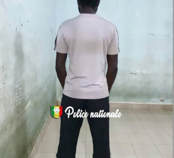 Jaxaay : Un agent commercial arrêté pour une escroquerie de près de 90 millions FCfa