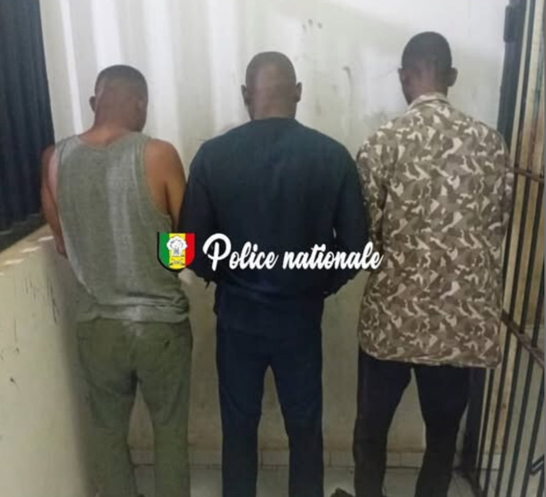 Faux documents administratifs : Un réseau impliquant un chauffeur, démantelé à Dakar