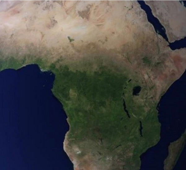 Bâtir une Afrique mondiale