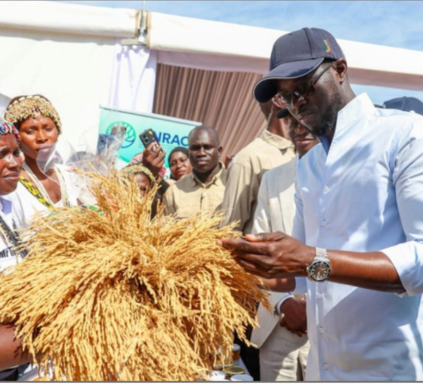 Agenda de Transformation nationale : Une dynamique en marche