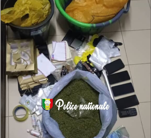 Dakar : Saisie de plus de 2,5 kg de kush, deux personnes interpeljées