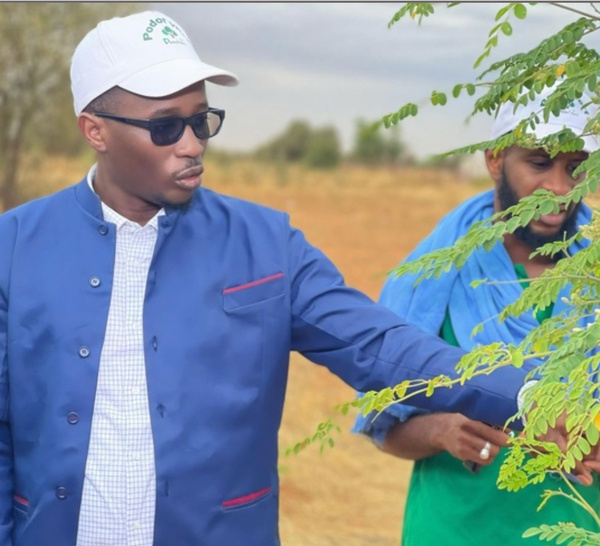 Bassirou Hamédine Sy, Pdt de l'Association « Podor Vert » : Une fibre écologique au cœur du développement communautaire au Fouta
