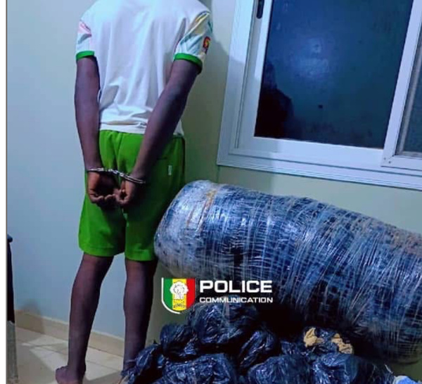 Trafic de chanvre indien: Deux individus arrêtés