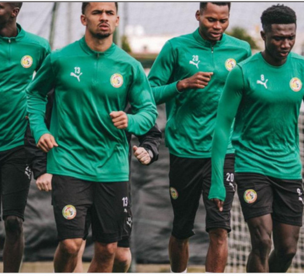 Finale de la CAN : Les "Lions" sans terrain, à quelques heures du dernier entraînement