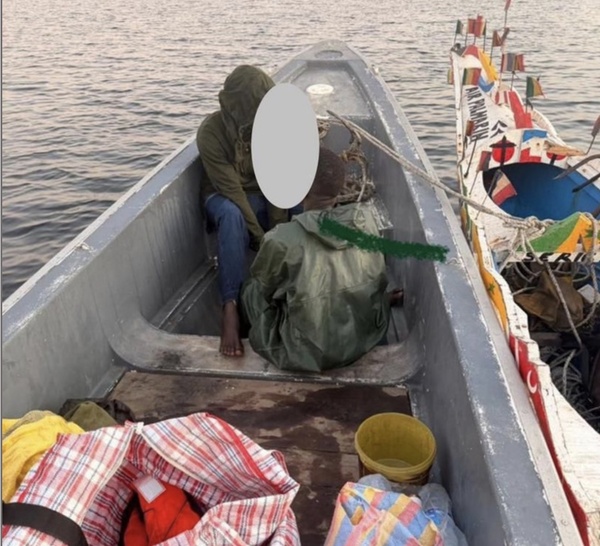 Lutte contre les trafics illicites : D’importantes quantités de cuisses de poulet et de chanvre indien saisies par les Douanes