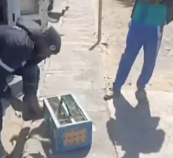 Vente d’oiseaux en cage : La Police nationale lance une vaste opération pour mettre fin à cette pratique