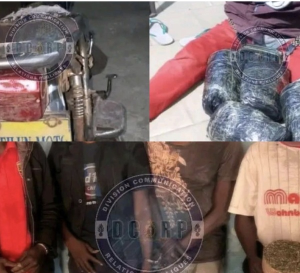 Lutte contre le trafic de drogue : cinq individus interpellés à Sédhiou avec cinq kilos de chanvre indien