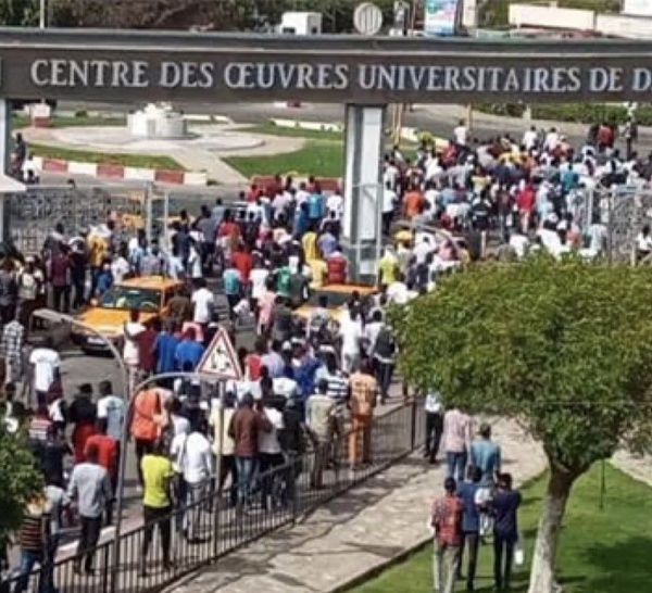 Ucad : Le Sudes relève les incohérences du Conseil académique