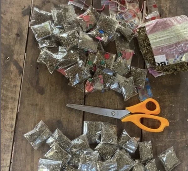 Saraya: Quatre individus arrêtés pour détention et trafic de chanvre indien