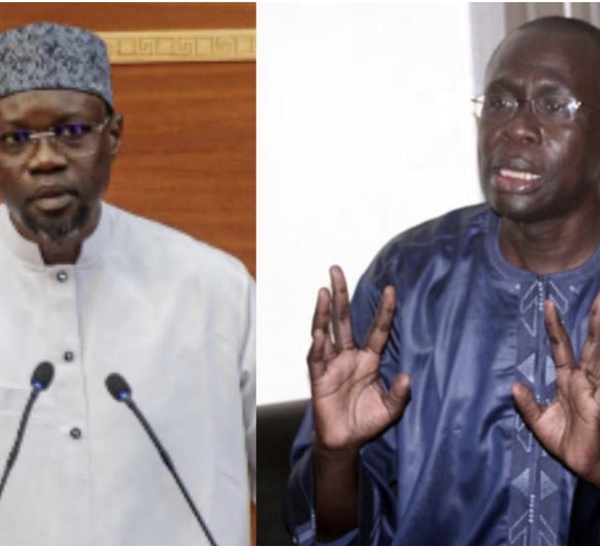 Projet de loi contre les «actes contre nature» : L’orientation sexuelle non interdite selon Alioune Souaré