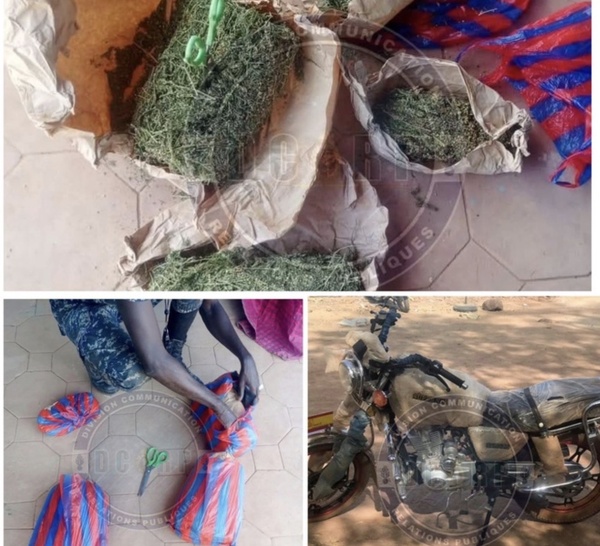 Quatre kilogrammes de chanvre indien et une moto saisis à Médina Yoro Foulah