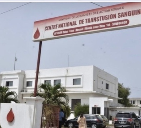 Affaire Pape Cheikh Diallo: Le CNTS rassure sur la sécurité des produits sanguins au Sénégal