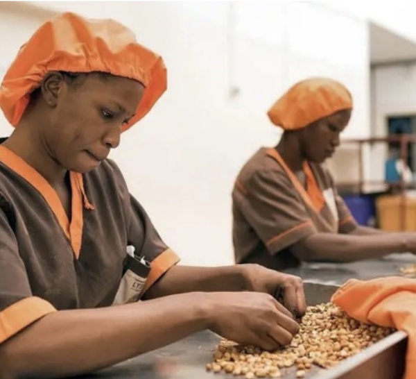 GUICHETS DE FINANCEMENT DÉDIÉS AUX PME : Une efficacité en question