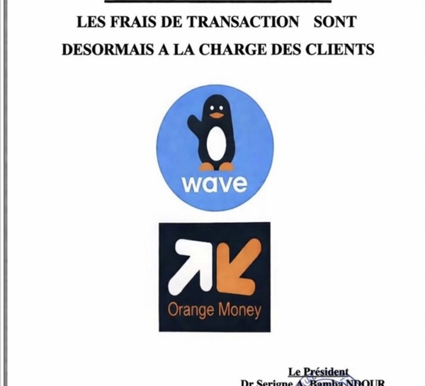 Digital : Le retour du "cash" en pharmacie, un signal d'alarme pour l'inclusion financière