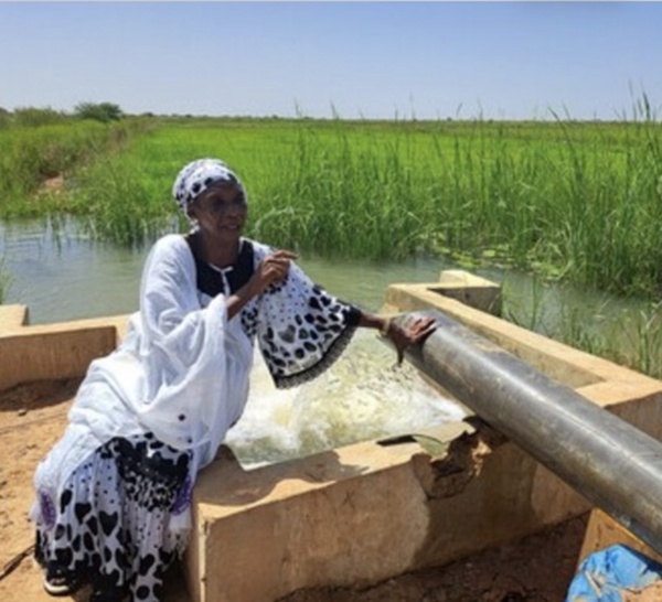 La FAO érige le Sénégal en modèle de gouvernance de l’eau pastorale