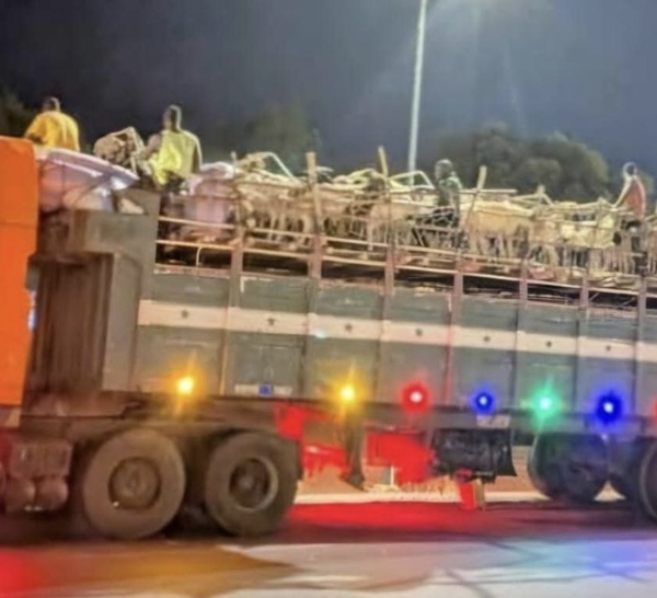 Burkina Faso : Exportation clandestine de bétail en violation de l’interdiction en vigueur