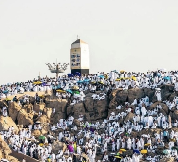 Hajj 2026 : Arafat accueille des milliers de pèlerins dans une intense ferveur spirituelle