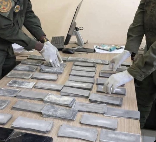 Douanes du Sud : recettes en hausse et saisies record de drogue en 2025