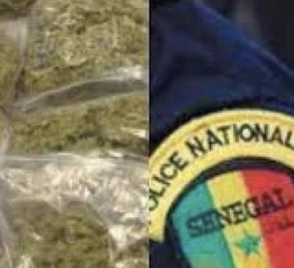 Détention de drogue : Le fils d'un nouveau ministre arrêté par la police de Sicap-Mbao