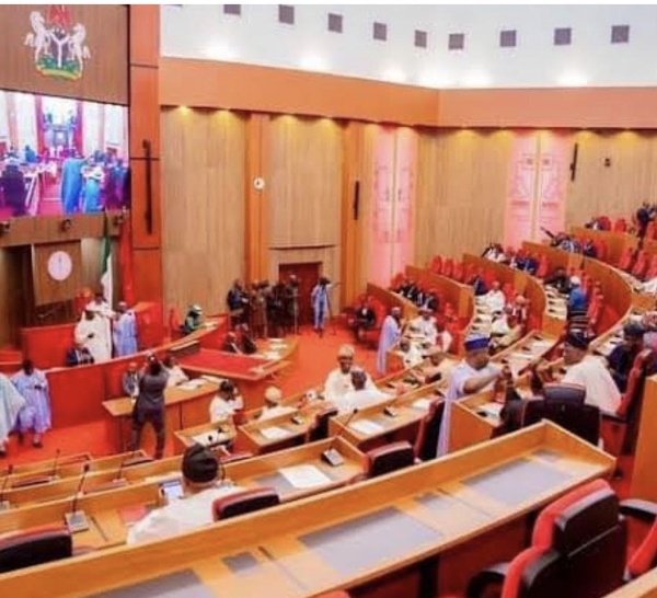 Nigeria : Le Sénat enquête sur une agence publique fictive financée par l'État