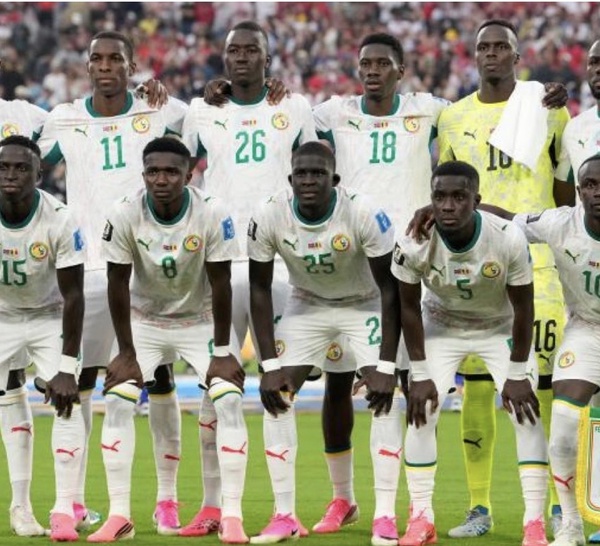 Mondial : Les Lions sans assurance, les coulisses d'un fiasco administratif