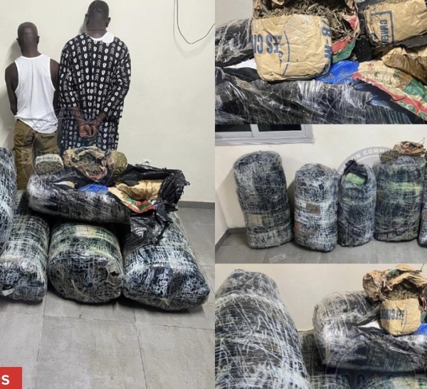 Plus de 300 kg de drogue saisis à Thiaroye : deux dealers arrêtés par la BR de Keur Massar