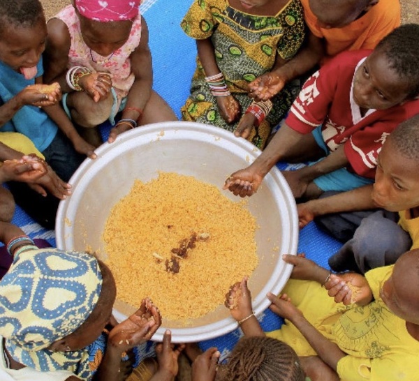 Selon la FAO, 309 millions d'Africains souffrent encore de la faim malgré des progrès historiques